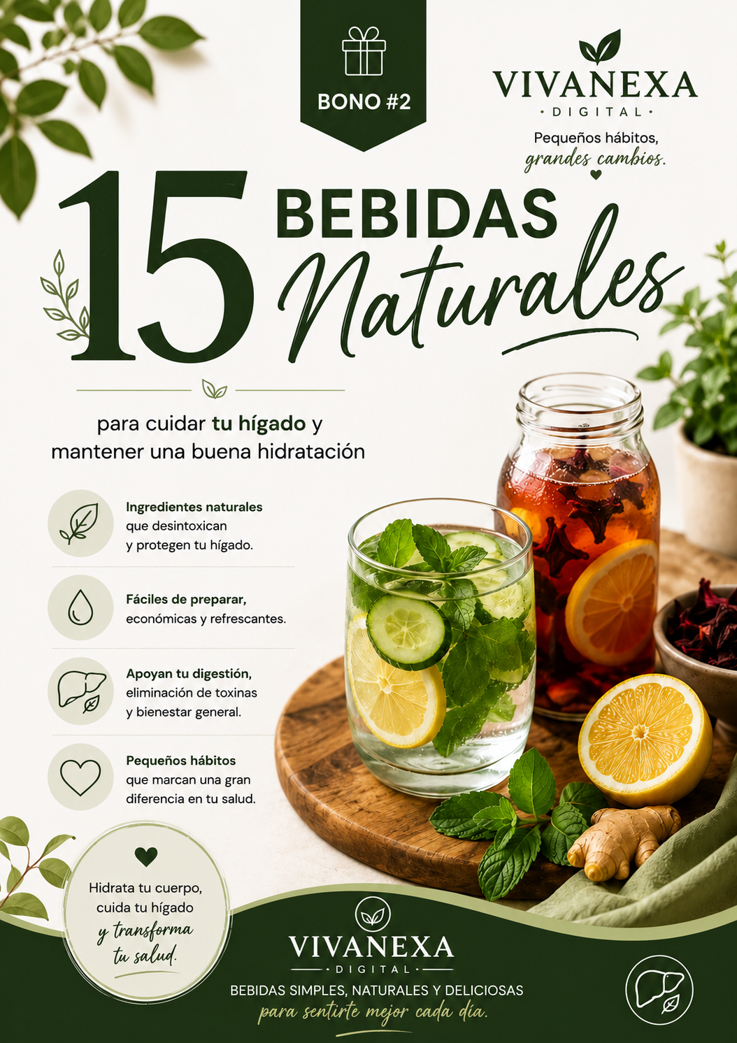15 bebidas naturales — portada